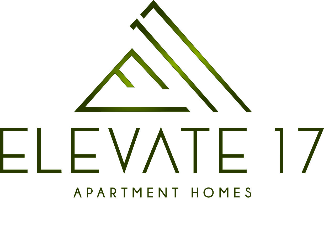 Elevate 17